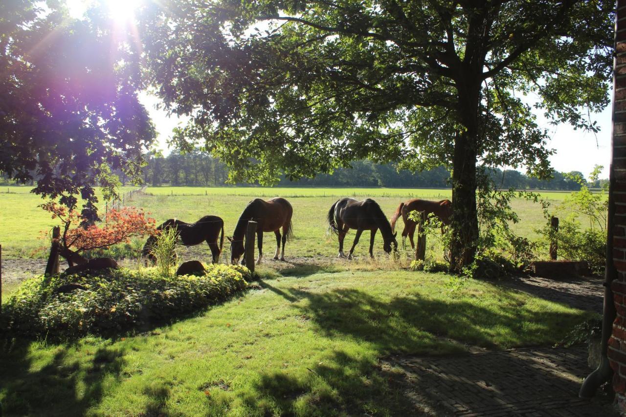 Ferienhaus Auf Gut Sautmannshausen Haselünne Eksteriør billede